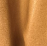Aura camel 002
